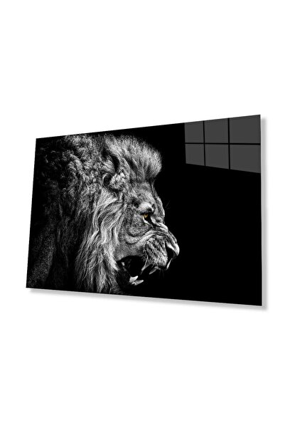 idealizbiz Sticlă Lion 4mm Sticlă Securizată Durabilă