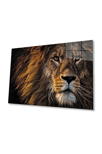 idealizbiz Pictură pe sticlă Aslan
