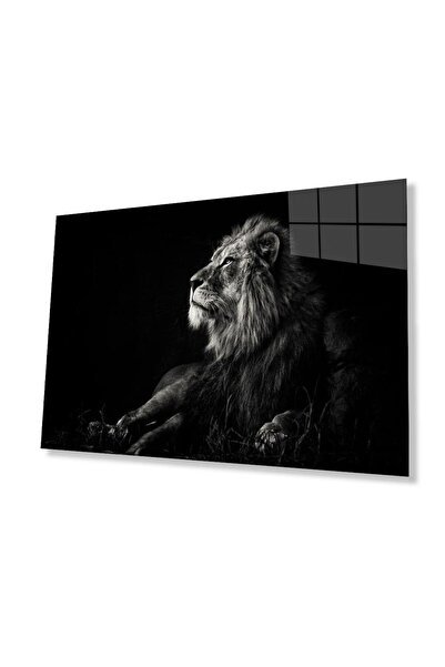 idealizbiz Sticlă Lion 4mm Sticlă Securizată Durabilă