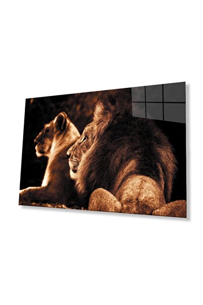 idealizbiz Sticlă Lion 4mm Sticlă Securizată Durabilă