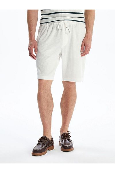 LC Waikiki LCW Vision Standard Fit Men's Shorts