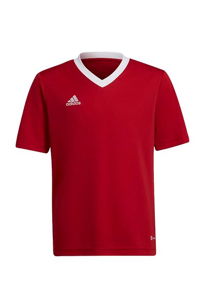 adidas T-shirt adidas Jr Ent22 Jersey, Red, Kids
