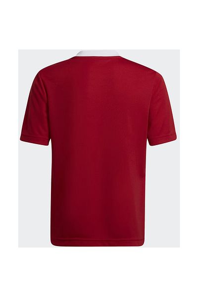 adidas T-shirt adidas Jr Ent22 Jersey, Red, Kids
