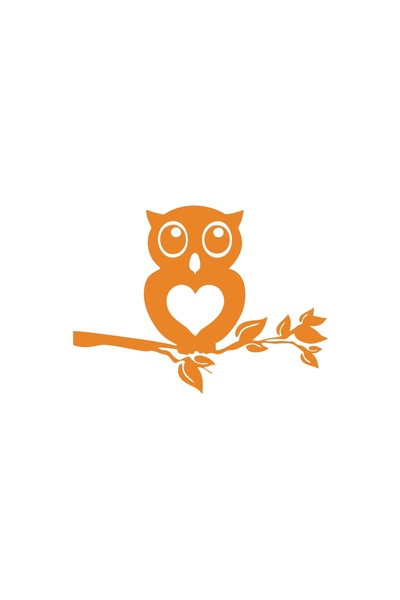 Reysa Tasarım ملصق سيارة بومة مقاس 17×17 سم برتقالي