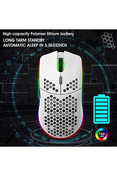 ZIENSTAR -Wireless Gaming Mice Rechargeable with RGB Lights, Lightweight Honeycomb Shell-White