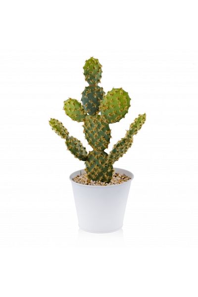HomeVibes Flori decorative CACTINI
