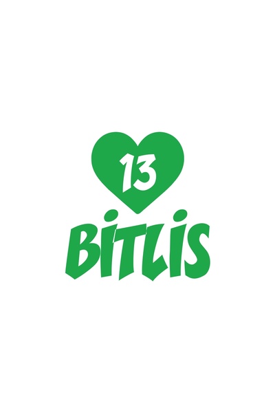 Reysa Tasarım ملصق سيارة على شكل قلب 13 شريط مقاس 17 × 17 سم باللون الأخضر