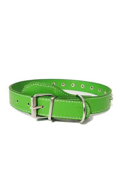 Ropet Ropet leather collar with rhinestones, for dogs, 55cm/25mm, Green