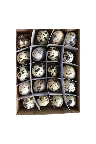 Decorer Set 20 Decorative Eggs, Cream Brown, 2.5x3 cm