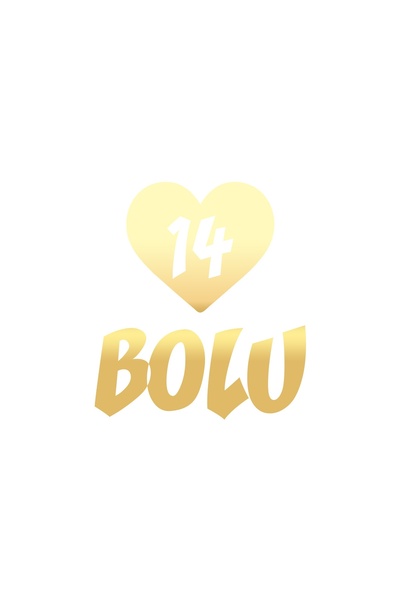 Reysa Tasarım Heart 14 Bolu Car Sticker 17X17 cm Gold