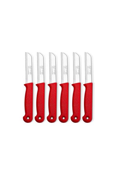 EbruliHomeArt 6Li Stainless Solingen Fruit Knife