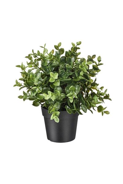 OEM Artificial plant, oregano in pot, for indoor and outdoor decor, 20 cm, green