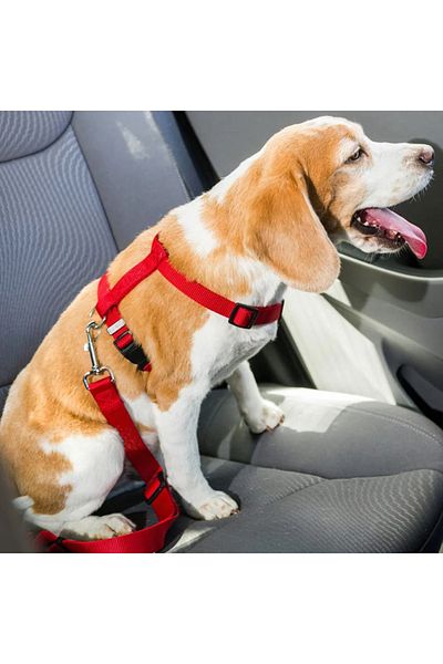 Ropet Car seat belt leash for dogs, cats, 40-70cm/2.5cm, Red