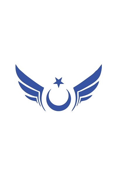 Reysa Tasarım Winged Turkish Flag Car Sticker 17X17 cm Blue