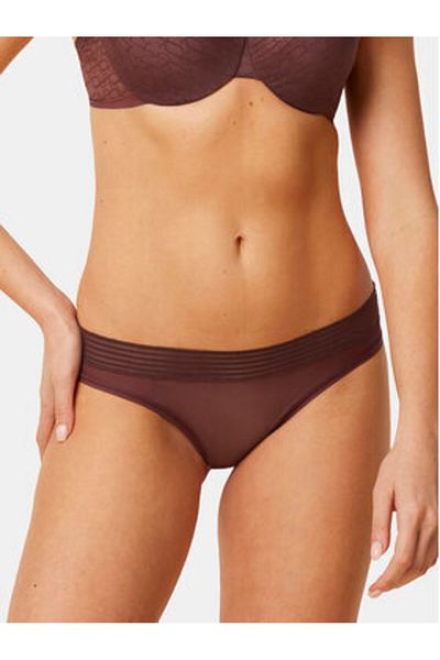 Triumph Women's Classic Briefs 10215956 Brown
