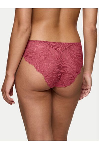 Triumph Women's Classic Briefs 10222241 Red
