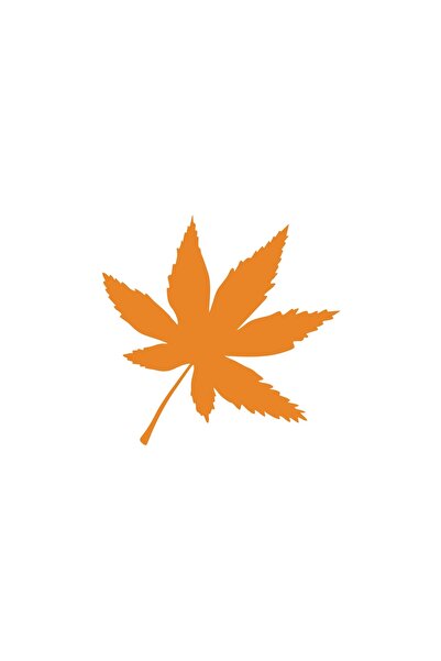 Reysa Tasarım ملصق سيارة مكون من 6 أوراق مقاس 17 × 17 سم برتقالي