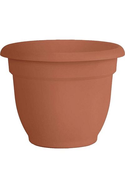 Generic Bloem Ariana Weather Resistant Self-Watering Plastic Planter Terracotta 8inch 20-56108