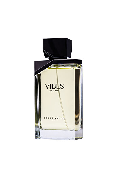 Louis Varel Louis Varel Vibes, eau de toilette 100 ml, ανδρικά