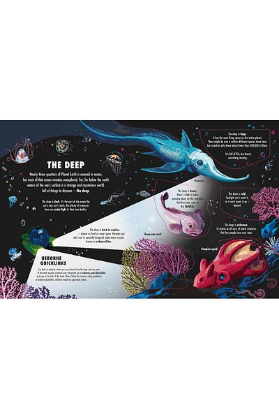 Usborne Children's book - See Inside the Deep