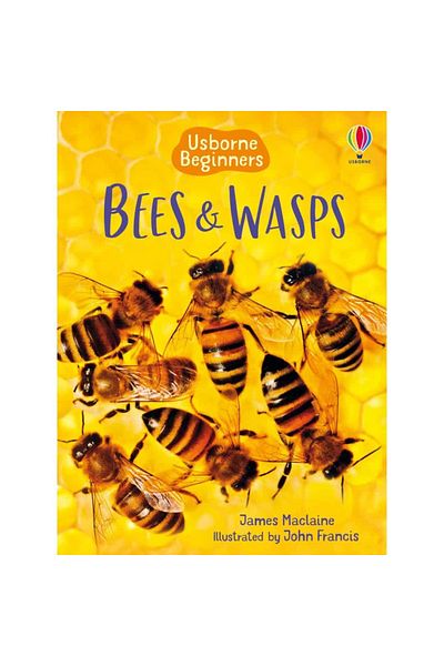 Usborne Children's book - Bees and Wasps
