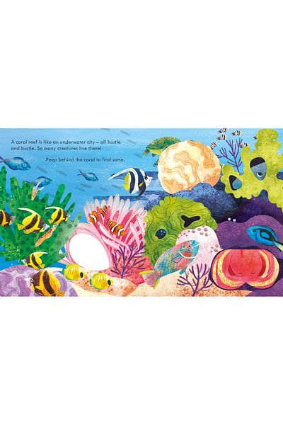 Usborne Children's book - Peep inside a Coral Reef