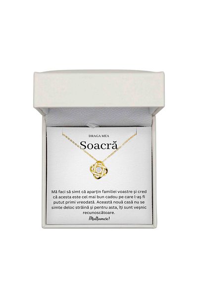 The Jewel Heart Colier Cu Mesaj Pentru Soacră – Argint 925 Placat cu Aur 14K, Prezentare Cadou Cu LED