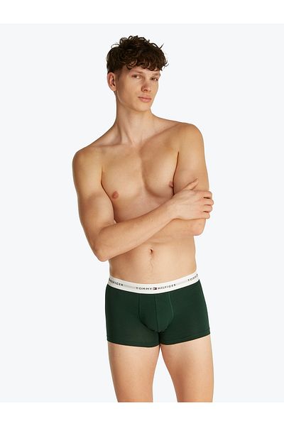Tommy Hilfiger Tommy Hilfiger Men Multicolored Trunk Pack of 3
