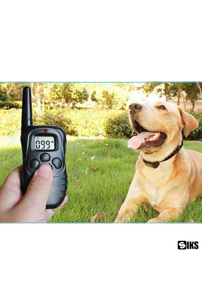 SIKS Dog Training Collar, Adjustable, Receiver with LCD Display, 2 x 4LR44 6V Batteries Included