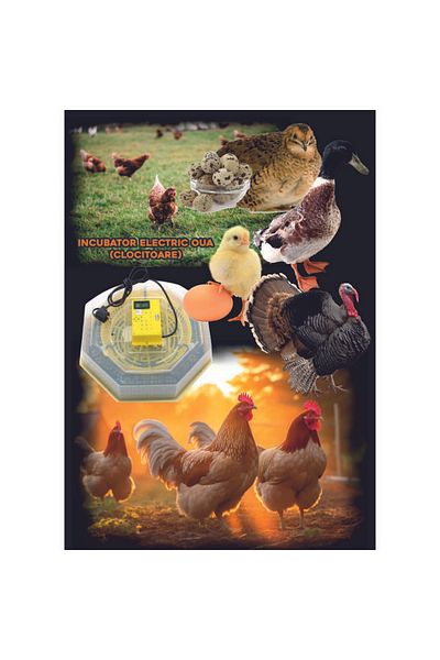 ertone Electric Egg Incubator (HATCHERS) Cleo 5, 230 V, 60 Eggs Capacity, 38°c Incubation Temperature