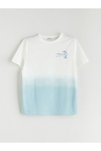 LC Waikiki Lcw Crew Neck Boys T-Shirt and Shorts