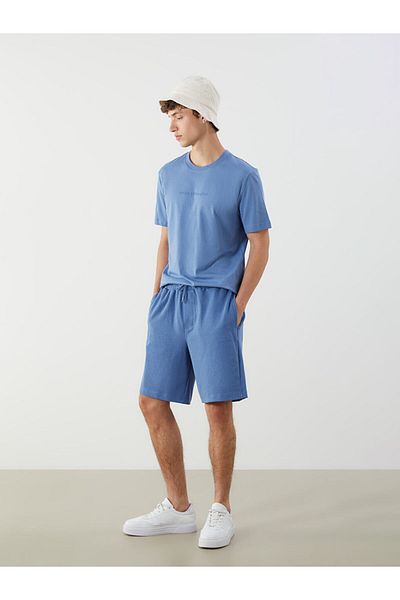 LC Waikiki Standard Fit Men's Shorts