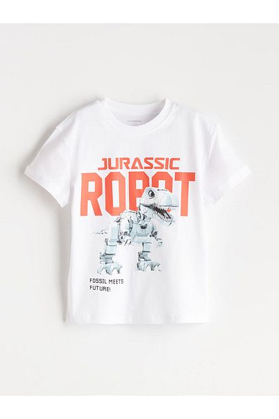 LC Waikiki Crew Neck Printed Boy's T-Shirt