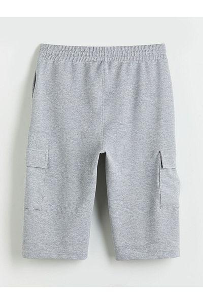 LC Waikiki Standard Fit Men's Shorts