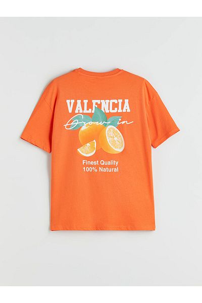 LC Waikiki Crew Neck Boy's T-Shirt