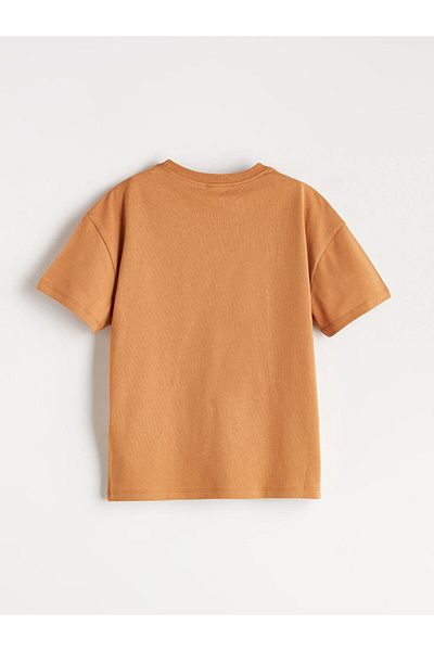 LC Waikiki Crew Neck Basic Boys' T-Shirt