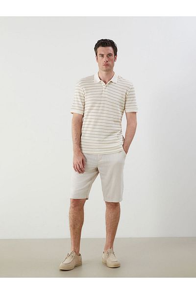 LC Waikiki New Season Polo Neck Striped Men's T-Shirt - S5J169Z8