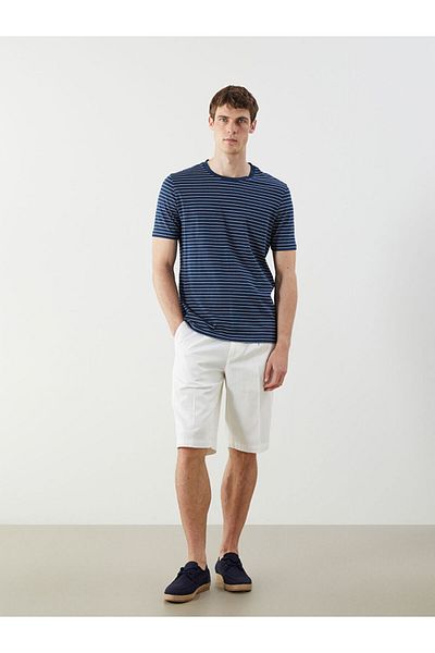 LC Waikiki Crew Neck Striped Men's T-Shirt