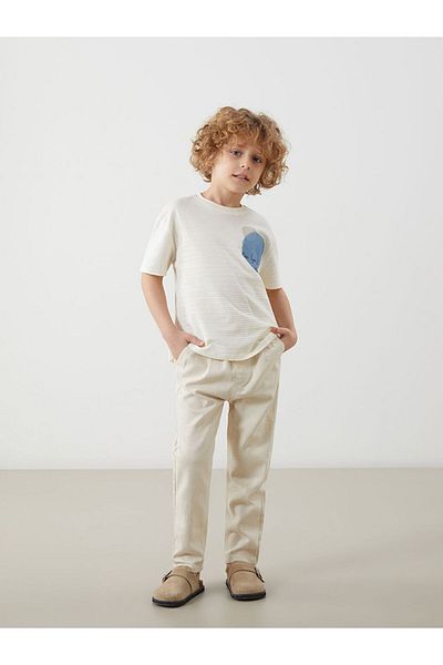 LC Waikiki Crew Neck Printed Boy's T-Shirt