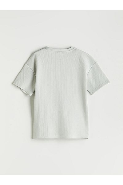LC Waikiki Crew Neck Boy's T-Shirt