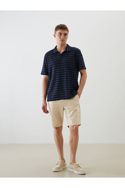 LC Waikiki Polo Neck Striped Men's T-Shirt