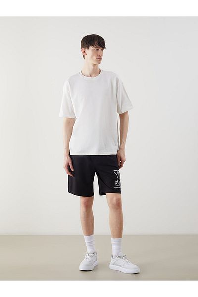 LC Waikiki Standard Fit Men's Shorts