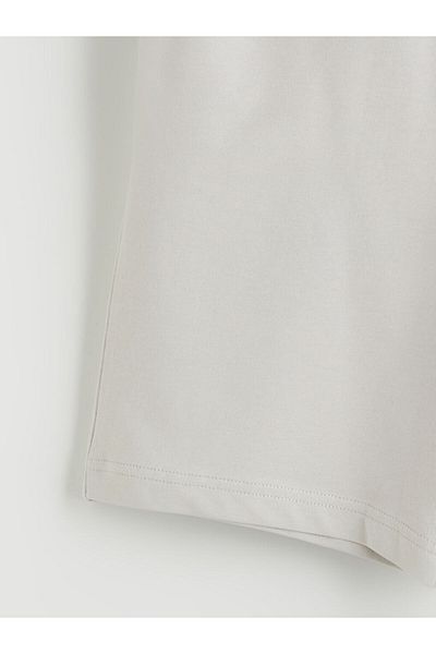 LC Waikiki Standard Fit Men's Shorts