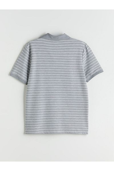 LC Waikiki Polo Neck Striped Men's T-Shirt