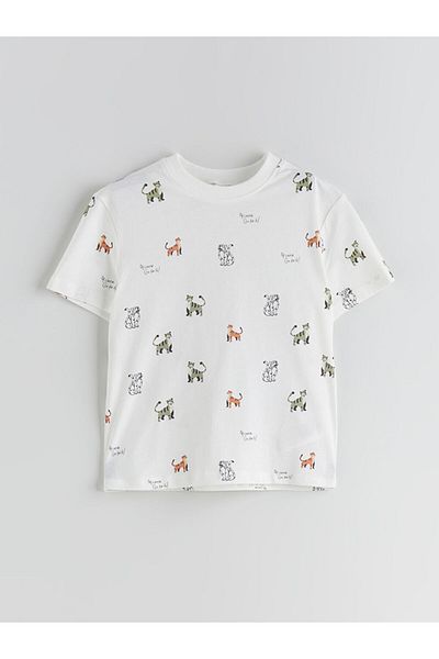 LC Waikiki Crew Neck Printed Boy's T-Shirt