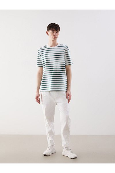 LC Waikiki Crew Neck Striped Men's T-Shirt