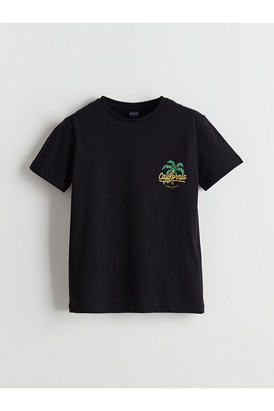 LC Waikiki Crew Neck Boy's T-Shirt