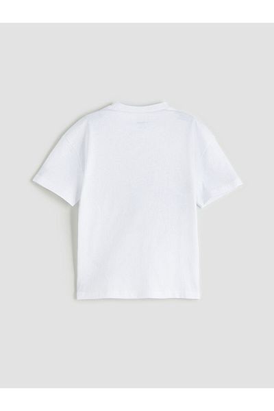 LC Waikiki Crew Neck Sonic Printed Boys' T-Shirt