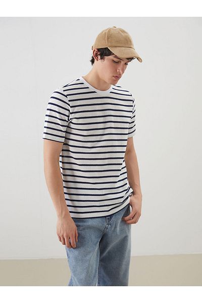 LC Waikiki Crew Neck Striped Men's T-Shirt
