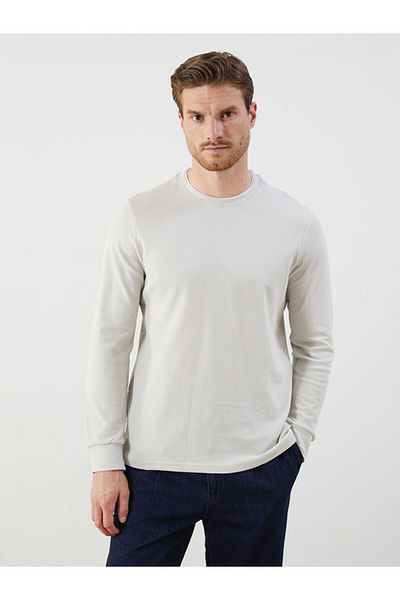 LC Waikiki Crew Neck Long Sleeve Men's Sweatshirt